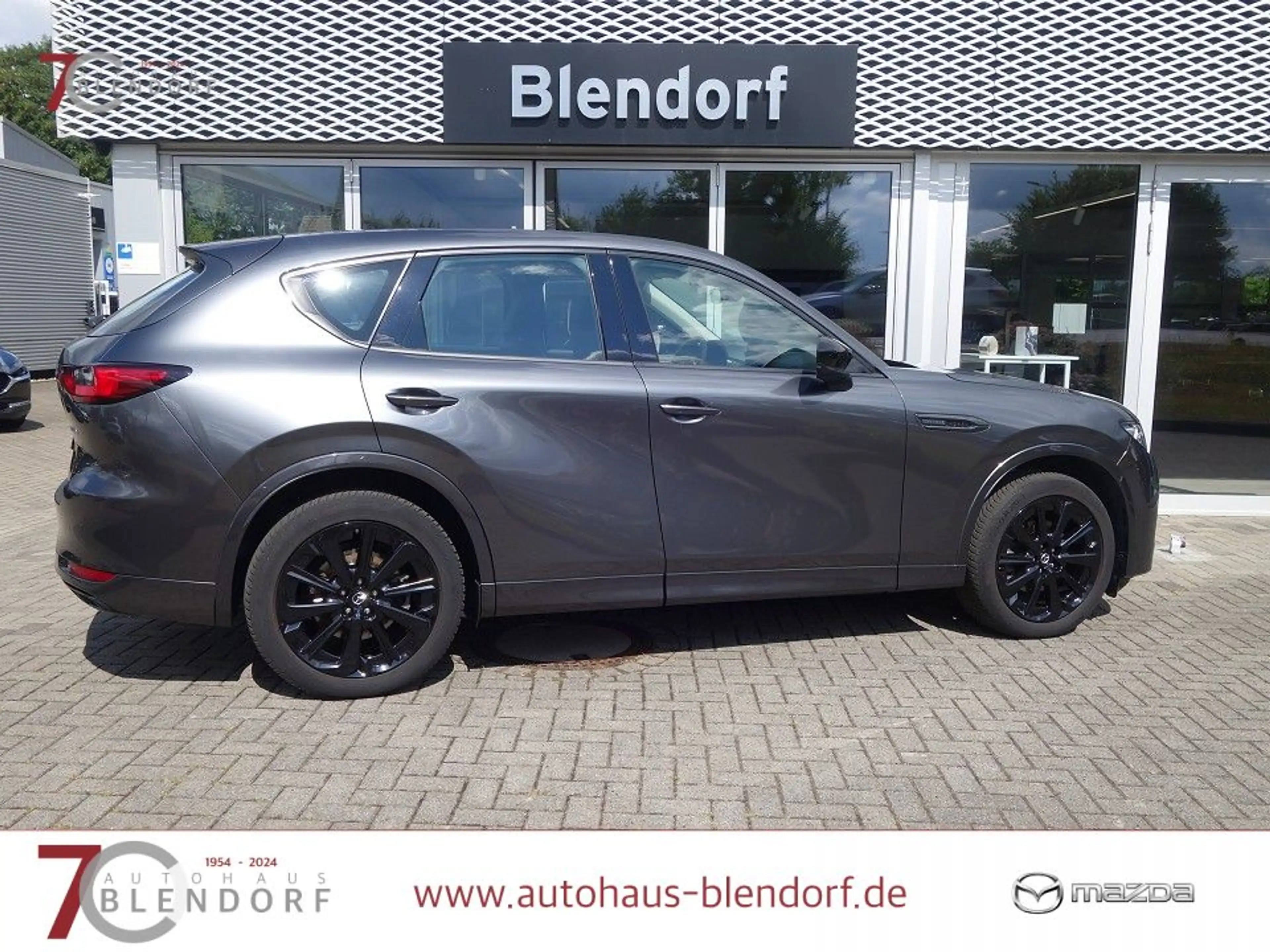 Mazda CX-60 3,3 D HOMURA 200 Leder|Kamera|Navi — photo 9