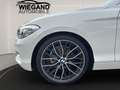 BMW 118 i ADVANTAGE+BUSINESS+KLIMAAUT+PDC+LICHTPAKET Bianco - thumbnail 18