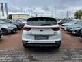 Kia Sportage 1.6 CRDI 136 CV Mild Hybrid Style Bianco - thumbnail 4
