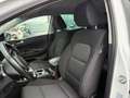 Kia Sportage 1.6 CRDI 136 CV Mild Hybrid Style Bianco - thumbnail 9