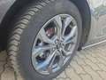 Ford Focus ST Line X Grau - thumbnail 19