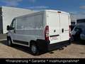 Fiat Ducato Kasten 28 115*Top Zustand* - thumbnail 7