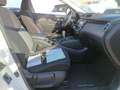 Nissan Qashqai DIG-T 103 kW (140 CV) E6D ACENTA Blanco - thumbnail 6