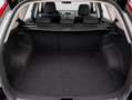 Kia Ceed / cee'd 1.6 CRDI Eco-Dynamics Drive 115 Negro - thumbnail 13