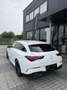 Mercedes-Benz CLA 200 CLA Shooting Brake 200 AMG Line Advanced Plus auto Wit - thumbnail 5