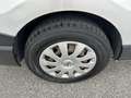 Nissan NV300 1.6dci 120cv 9Posti L2 2Clima 2Porte Scorr E6C IVA Серый - thumbnail 18