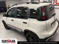 Fiat Panda 1.0 FireFly S&S Hybrid Garmin PROMO FLEX Verde - thumbnail 6