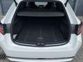 Toyota Corolla TOURING SPORTS 1.8 HYBRID EXECUTIVE I AUTOMAAT I A Wit - thumbnail 13