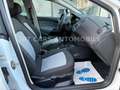 SEAT Ibiza Lim. Reference Salsa Bianco - thumbnail 11