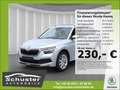 Skoda Kamiq Style 1.0TSI*DSG LED digCock el.Sitz+Heckk Silber - thumbnail 1