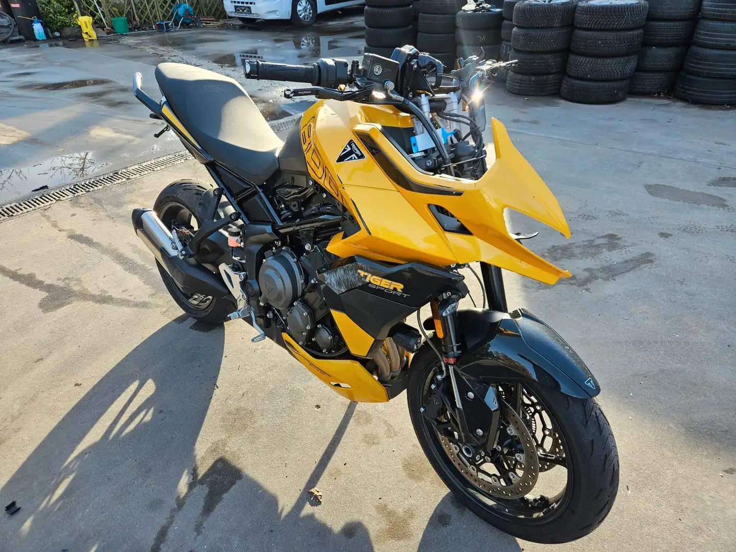 Triumph Tiger Sport 800 Jaune - 1