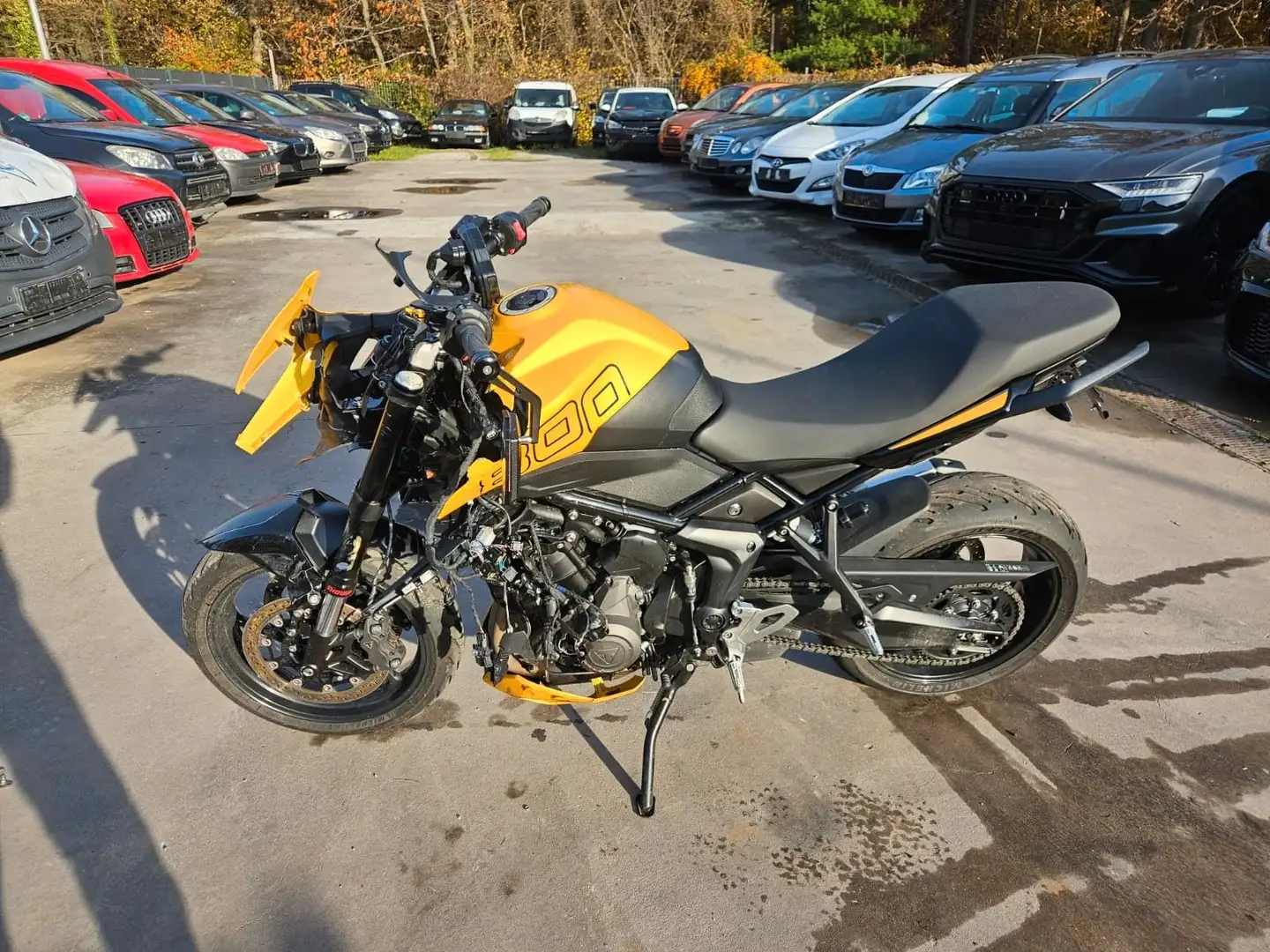 Triumph Tiger Sport 800 Jaune - 2