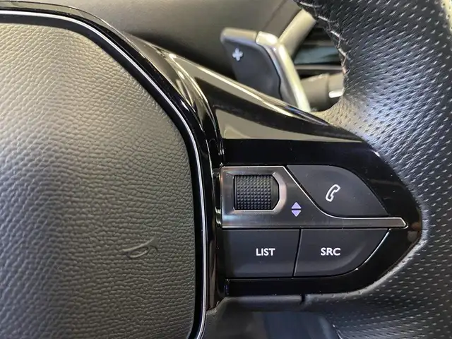Peugeot 3008 view 13