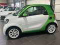 smart forTwo coupe EQ Automatik **Navi*Panorama*Temp** Weiß - thumbnail 2