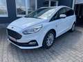 Ford S-Max TDCi190 Auto Navi/WiPa/DAB/LMF/RFK Weiß - thumbnail 1
