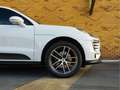 Porsche Macan 2.0 T Sport Chrono l Luchtvering l Bose l CarPlay Weiß - thumbnail 44