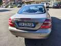 Mercedes-Benz CLK 240 LEGGERE DESCRIZIONE*3295556033* Coupe *Elegance * Bronze - thumbnail 5