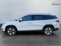 Skoda Kodiaq Selection 2.0 TSI 4x4 7 Sitzer Anhängerkupplung... Weiß - thumbnail 32