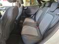 Ford Puma Puma 1.0 ecoboost Titanium X s- ADATTA NEOPATENTAT Beige - thumbnail 8