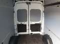 Ford Transit Kasten Trend 350L3H3 *EXPRESS-LINE-PAKET* Weiß - thumbnail 25