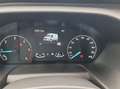 Ford Transit Kasten Trend 350L3H3 *EXPRESS-LINE-PAKET* Weiß - thumbnail 13