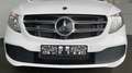 Mercedes-Benz V 250 Vanstar 250d lang Automatic 4Matic Navi 360° Blanc - thumbnail 6