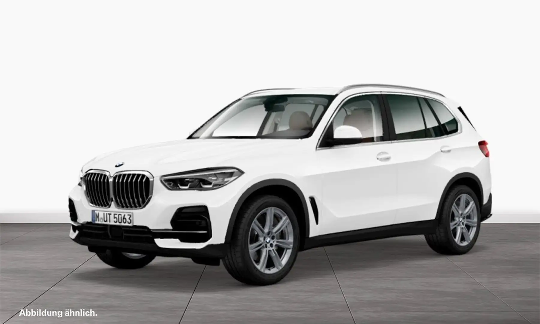 BMW X5 xDrive30d Driv.Assist. Prof. | 20 Zoll | Kamera | Weiß - 1
