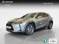 Lexus UX 300e Executive Silber - thumbnail 1