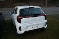 Kia Picanto 1.2 Vision Weiß - thumbnail 4