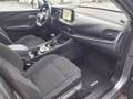 Nissan Qashqai 1.3 mhev Business 2wd 140cv Grigio - thumbnail 12