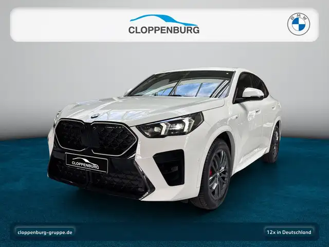BMW X2 sDrive18d M Sport Head-Up+AHK+Navi+Kamera+ACC