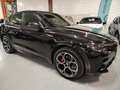 Alfa Romeo Stelvio 2.2 Td 210cv Q4 Veloce MY24 PROMO Zwart - thumbnail 14