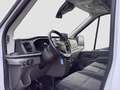 Ford Transit Kasten 2.0D EcoBlue L3H2 350 Trend Kamera/STH/F... Weiß - thumbnail 10