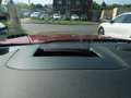 Ford Kuga Hybrid ST-Line X 4x4 LED ACC TWA AGR Rot - thumbnail 14