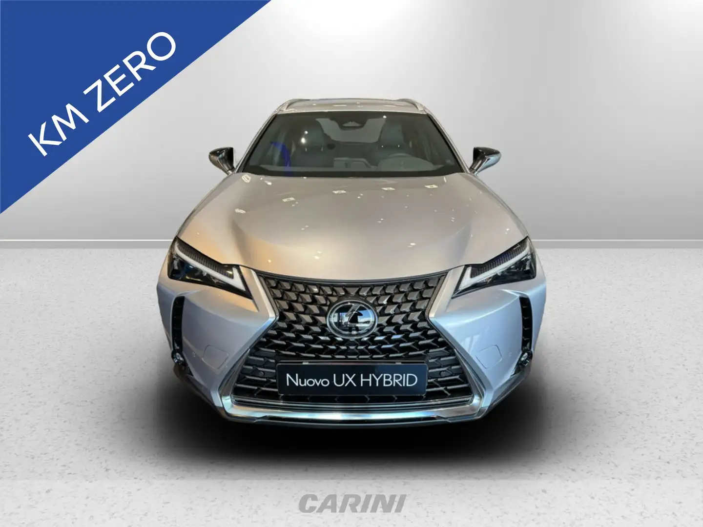 Lexus UX 250h 300h 2.0 urban 2wd cvt siva - 2