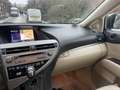 Lexus RX 450h Leder, Kamera, Sitzheizung, LED, Keyless, HiFi Schwarz - thumbnail 18
