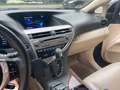 Lexus RX 450h RX 450h (hybrid) Executive Line Schwarz - thumbnail 17