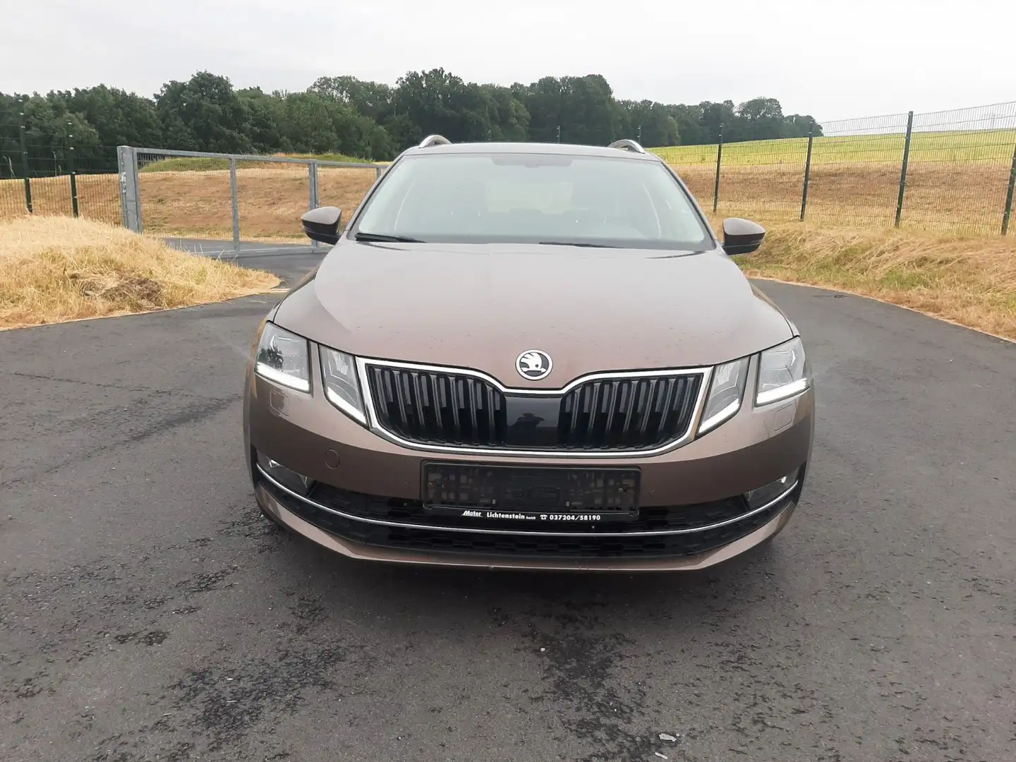 Skoda Octavia Combi 1.8 TSI,Bi-Xenon,Navi,LED Bruin - 2