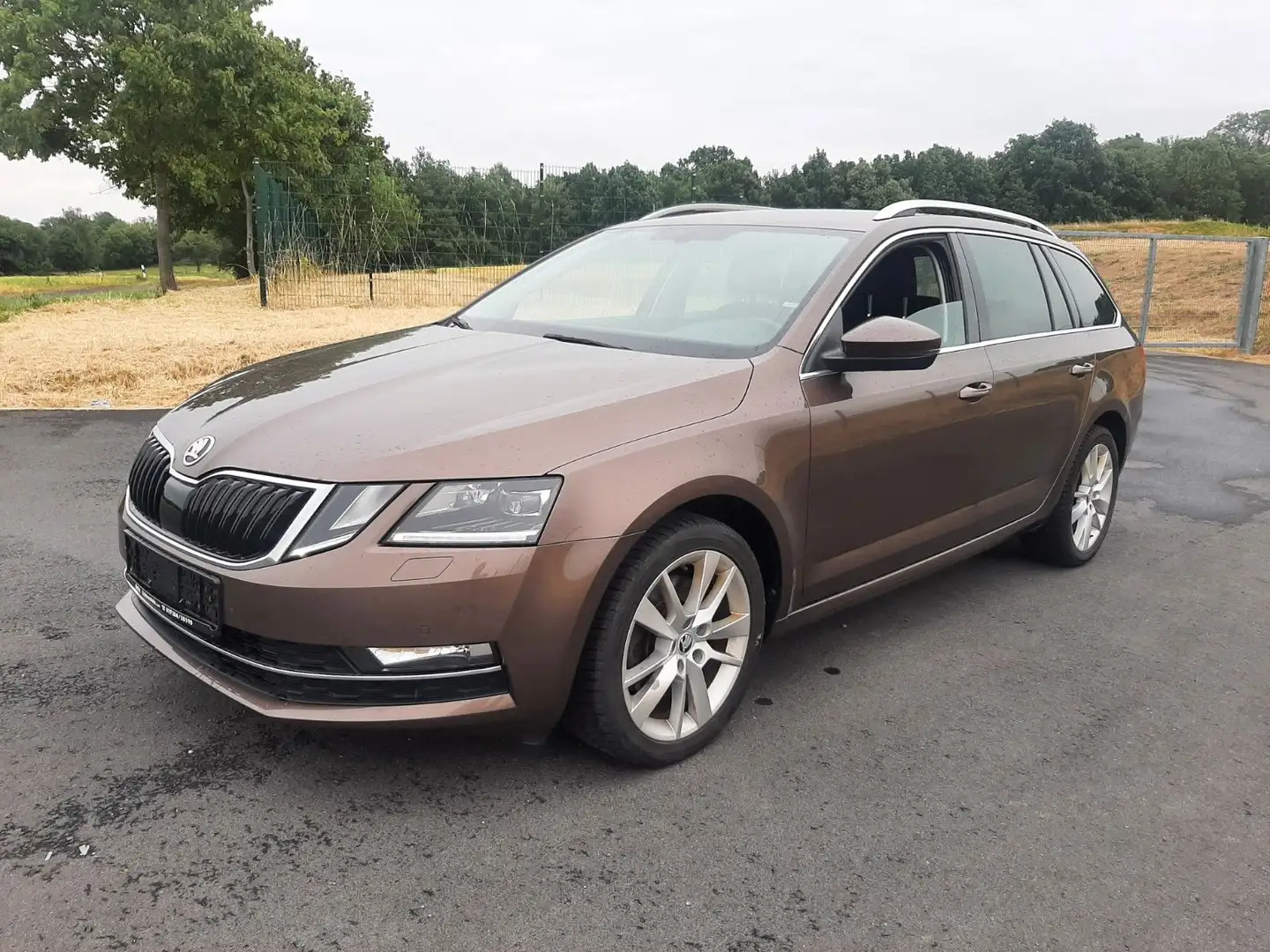 Skoda Octavia Combi 1.8 TSI,Bi-Xenon,Navi,LED Bruin - 1