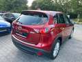 Mazda CX-5 2.2 D AWD, Automatik, Leder, Xenon, AHK Rot - thumbnail 3