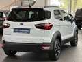 Ford EcoSport Active #KAMERA #NAVI #WINTERPAKET Bílá - thumbnail 5
