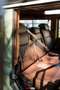 Land Rover Defender 110 Heritage Edition 'Tribute' Verde - thumbnail 33