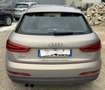 Audi Q3 2.0 tdi Advanced Plus 140cv Grigio - thumbnail 3