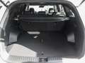 Kia Sorento 2.2 CRDi DCT AWD Plat Platinum 4WD Blanco - thumbnail 16