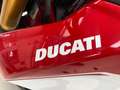 Ducati Hypermotard 950 sp + termignoni Rosso - thumbnail 13