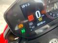Ducati Hypermotard 950 sp + termignoni Rosso - thumbnail 12