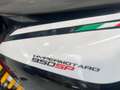 Ducati Hypermotard 950 sp + termignoni Rosso - thumbnail 9