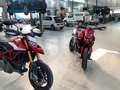 Ducati Hypermotard 950 sp + termignoni Rood - thumbnail 17
