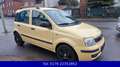 Fiat Panda 1.2 8V MyLive-Klima-Alufelgen-5Türer Gelb - thumbnail 8