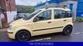 Fiat Panda 1.2 8V MyLive-Klima-Alufelgen-5Türer Gelb - thumbnail 3